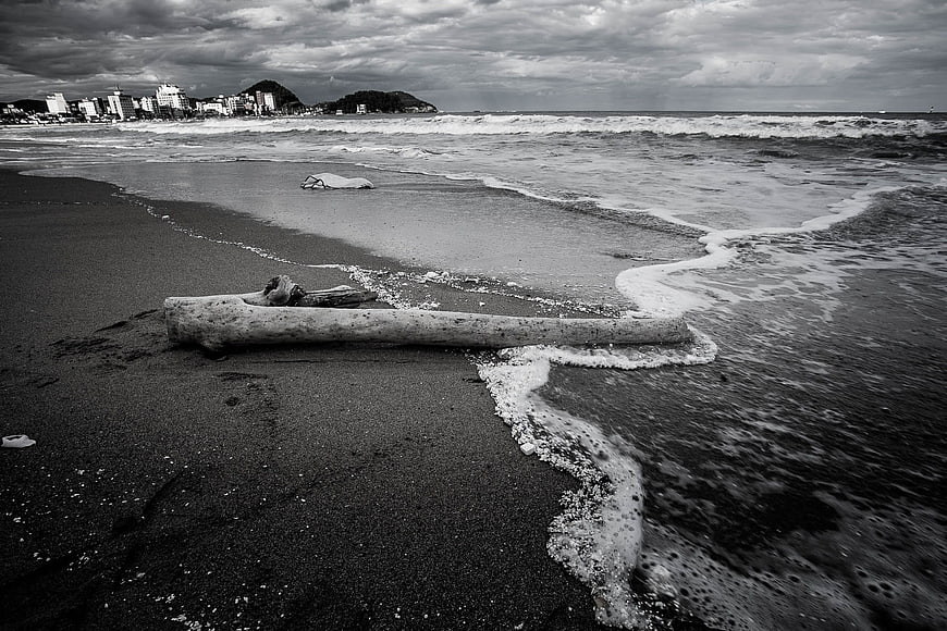 Black and white beach scene with driftwood and ocean waves