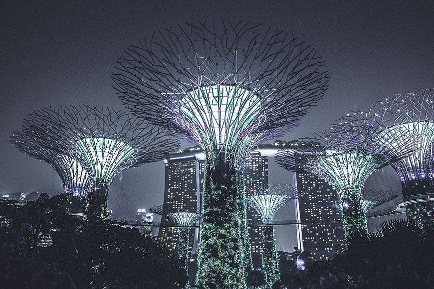 Gardens by the Bay Supertrees and Marina Bay Sands at Night