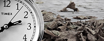 Close-up of Timex alarm clock face next to pile of dry autumn leaves
