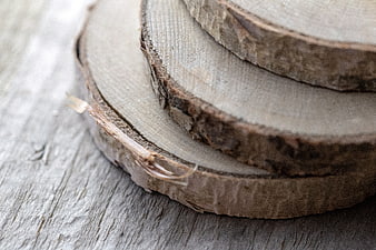 Close-up of rustic wood slices on weathered timber background