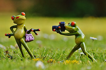 Funny frog figurines photographer and model in grass