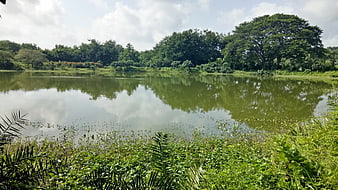 Serene tropical lake with lush green forest reflections