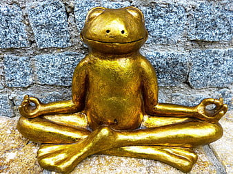 Golden Meditating Frog Statue on Stone Wall