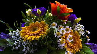 Vibrant Colorful Flower Bouquet on Black Background