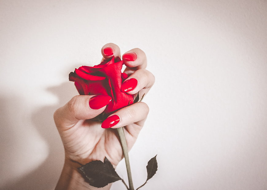 Woman's Hand Holding Red Rose with Matching Red Nail Polish
