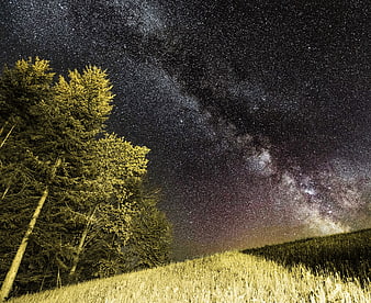Milky Way Galaxy Over Forest and Grassy Hill at Night