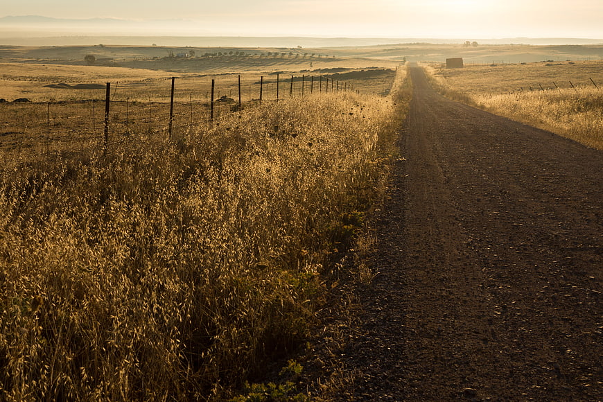 Golden Sunrise on Rural Dirt Road Through Dry Grassland