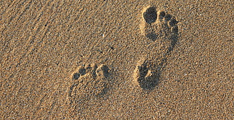 Barefoot Footprints in Sand on a Beach