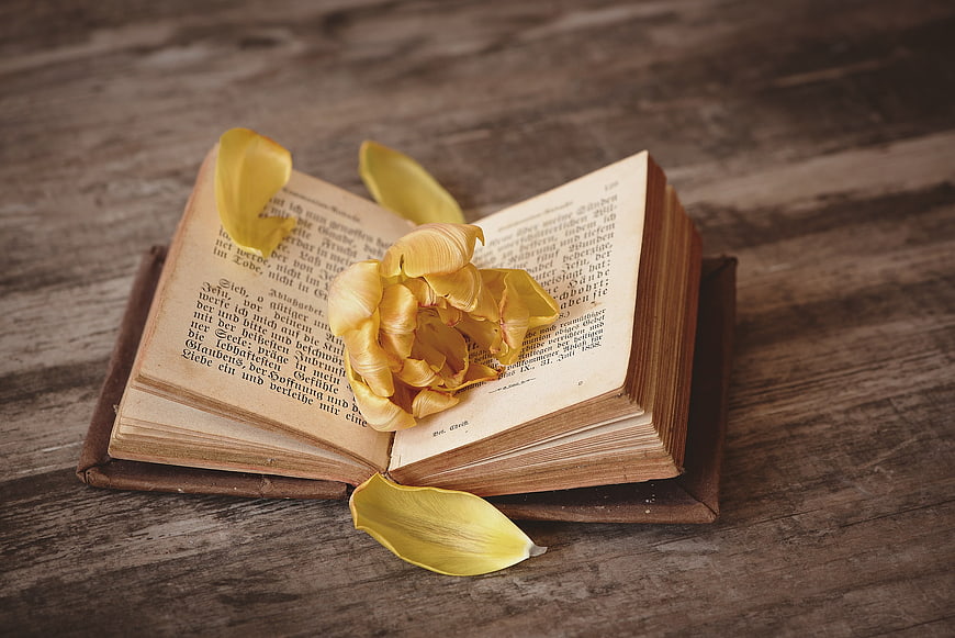 Vintage Open Book with Yellow Tulip on Wooden Table