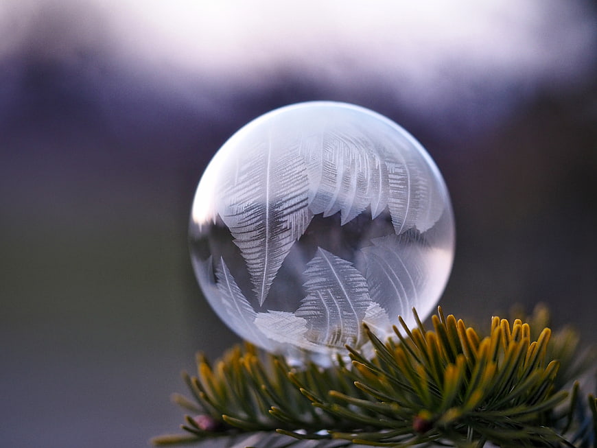 Frozen Ice Crystal Ball on Pine Branch