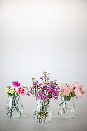 Three Glass Vases with Pink and Purple Flowers on White Background