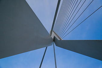 Low angle view of modern cable-stayed bridge architecture