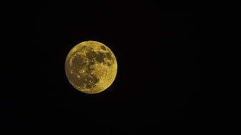 Full Moon in Dark Night Sky with Craters