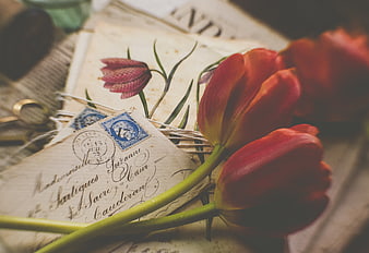 Vintage red tulips on old letter with stamps