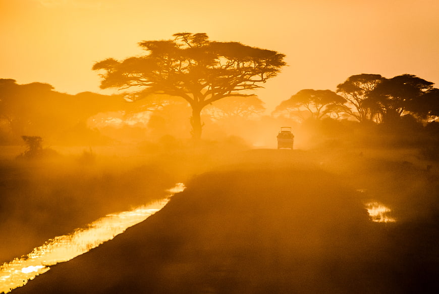 Safari Jeep Driving Through Golden Misty African Savanna
