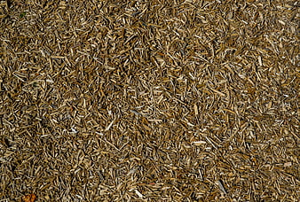 Top View of Natural Wood Chips Texture Background