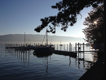 Silhouetted boats in misty harbor at sunrise
