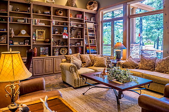 Cozy rustic living room with built-in bookshelves and forest view