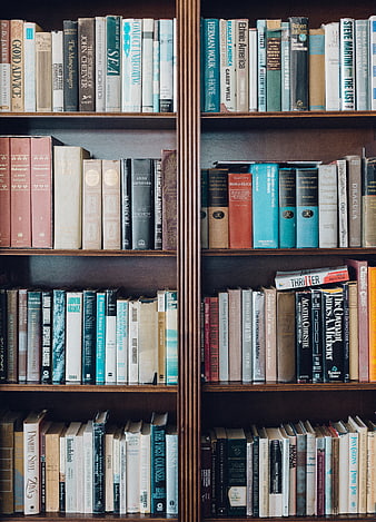 Close-up of wooden bookshelves filled with classic literature and novels