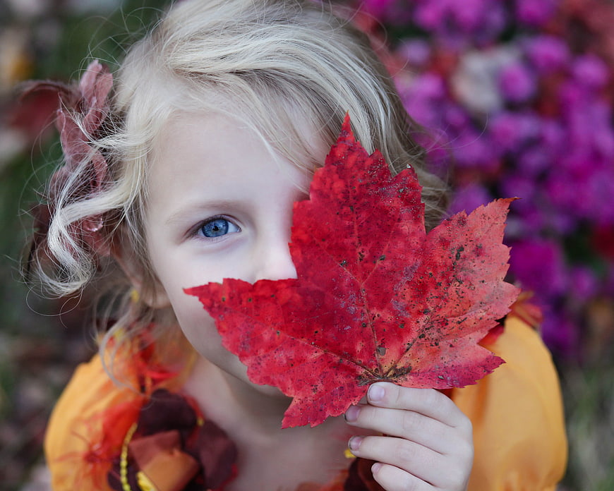 Blonde child holding red maple leaf in autumn
