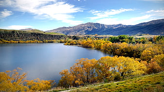 Scenic autumn landscape with golden trees and lake
