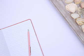 Minimalist pink notebook and pen with seashells on white background