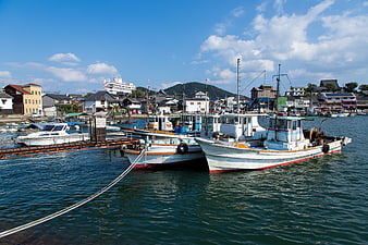 Traditional Japanese Fishing Boats Docked in Harbor