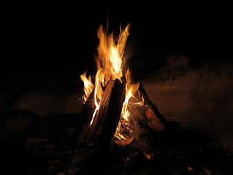 Campfire Burning Brightly Against Dark Night Sky