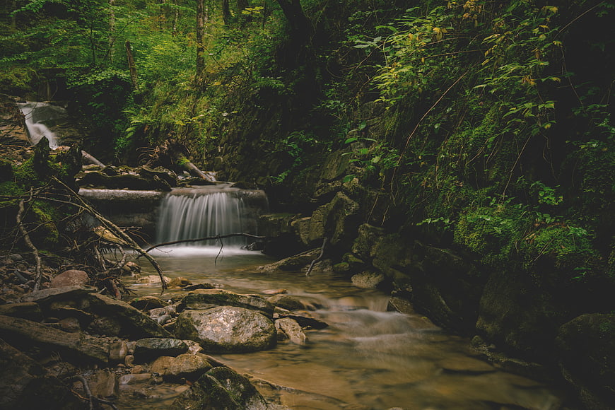Serene Forest Stream with Small Waterfall and Mossy Rocks