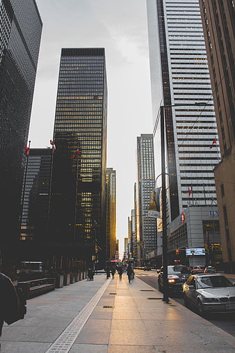 City Street with Skyscrapers and Golden Hour Light