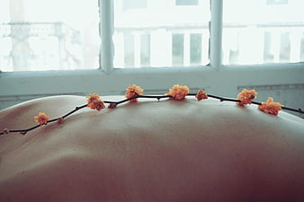 Orange flowers on bare back near window