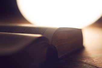 Close-up of open book with warm lamp light