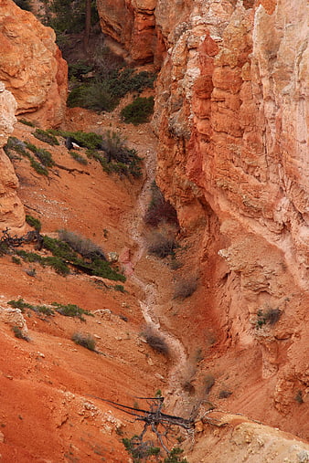 Red Rock Canyon Trail in Bryce Canyon National Park