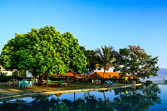 Tropical resort infinity pool with lush green trees and blue sky