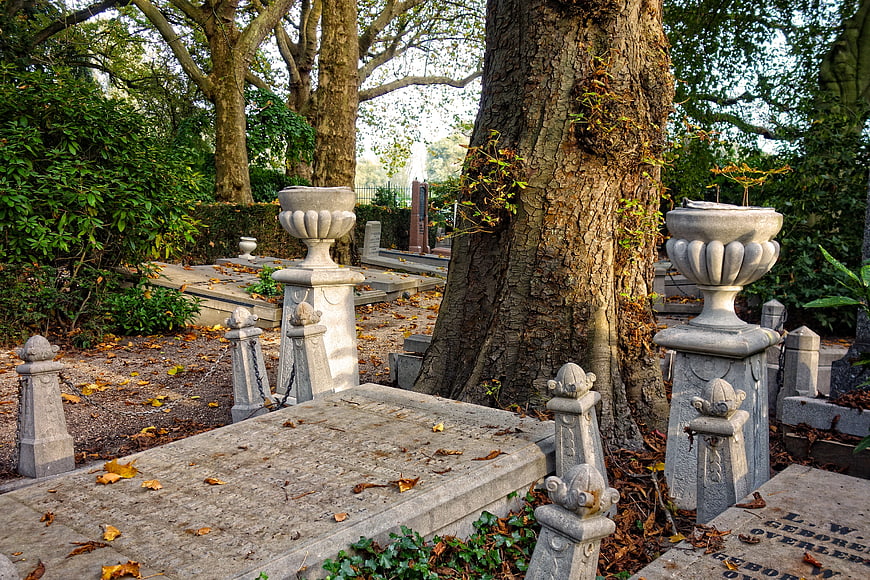 Old Cemetery with Stone Tombs and Large Tree