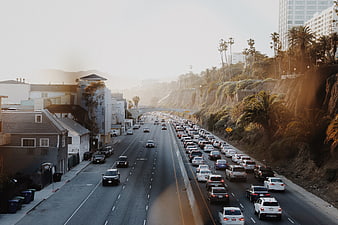 Sunset Traffic Jam on Coastal Highway with Palm Trees