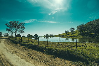 Serene Countryside Pond with Dirt Road and Blue Sky