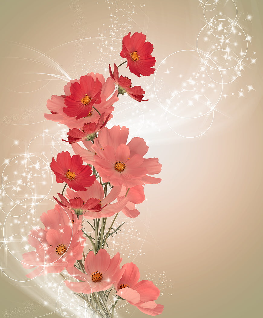 Pink and Red Cosmos Flowers with Sparkling Swirls on Beige Background