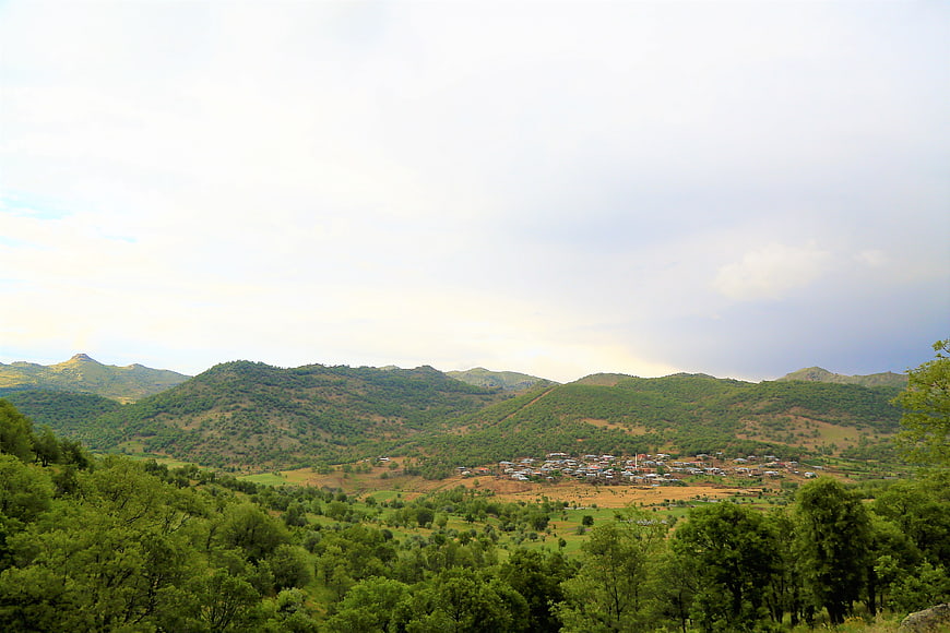 Scenic green mountain village landscape with forest