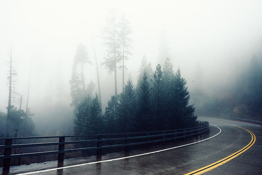 Winding Road Through Foggy Forest with Guardrail