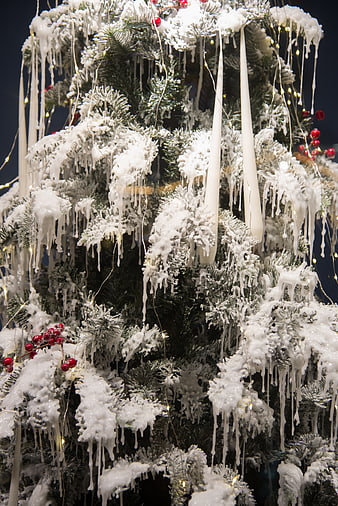 Frosted Christmas Tree with Dripping Wax and Red Berries