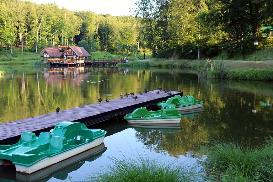 Green paddle boats docked at a serene lake with a wooden pier and forest background