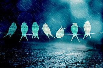 Blue Birds With Musical Notes On Wire In Rain