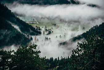 Misty Mountain Valley with Pine Trees and Fog
