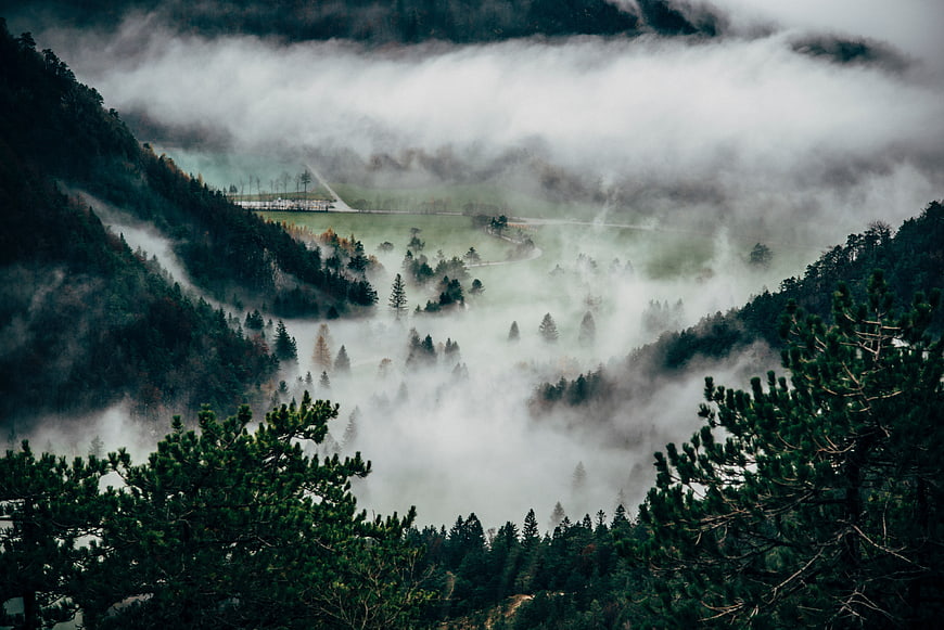 Misty Mountain Valley with Pine Trees and Fog