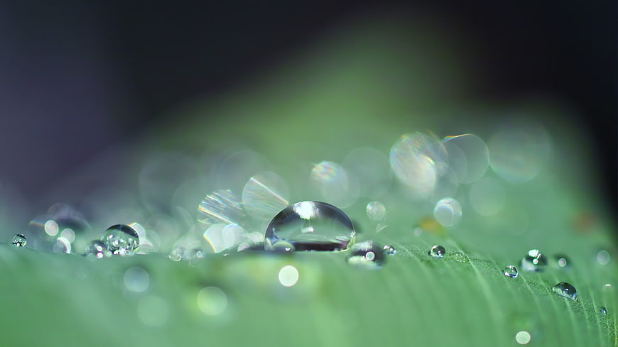 Macro Photography of Dewdrops on Green Leaf with Bokeh