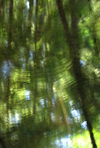 Abstract Green Forest Reflection in Rippling Pond Water