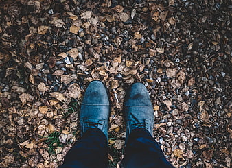 Top-down view of blue suede shoes on autumn leaves