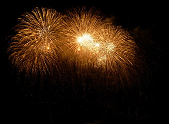 Golden Fireworks Exploding in Night Sky