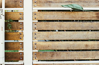 Close-up of weathered wooden slat fence with green leaves